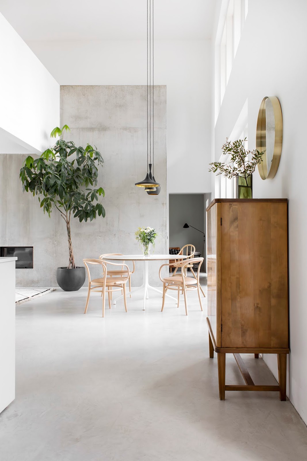 minimalistisch interieur kamerplanten